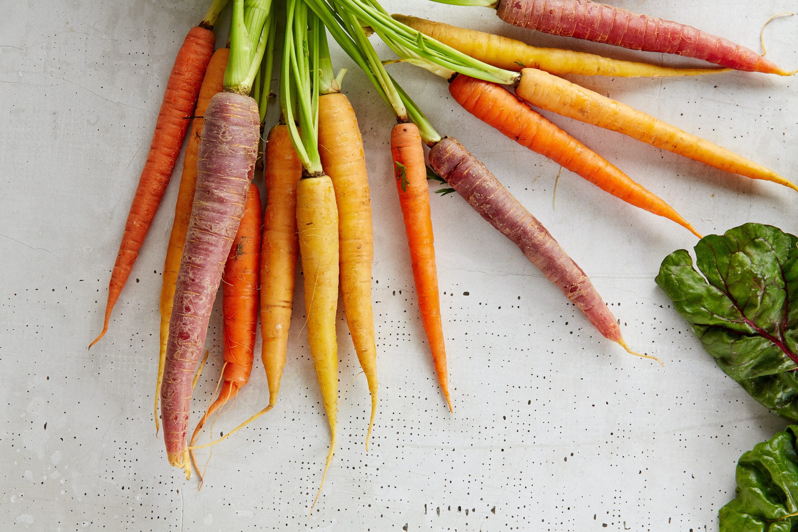 A bunch on carrots. The carrots are different colours including orange, yellow, and purple. They still have the green tops on them and are laying on a white background.